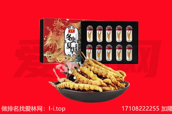 延边安图县回收虫草.jpg